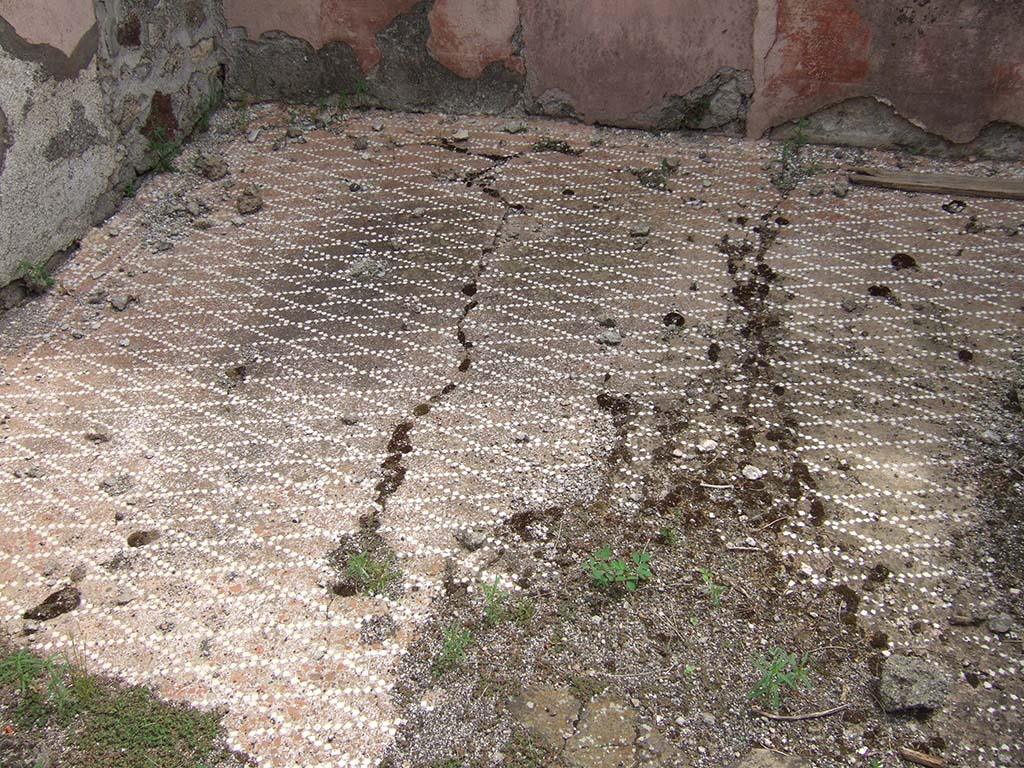 VIII.2.34 Pompeii. May 2006. Decorated floor in cubiculum ‘g’, on east side of atrium.
The centre of the floor was formed of cocciopesto with small white tesserae forming the carpet of a net of lozenges.
Around the edges of the walls, the floor was decorated with two lines of small white tiles.