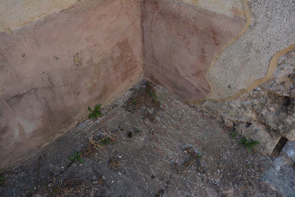 VIII.2.34 Pompeii. September 2019.
Cubiculum ‘g’, south-east corner, with red zoccolo, and flooring with two lines of small white tiles around the edge.
Foto Annette Haug, ERC Grant 681269 DÉCOR.