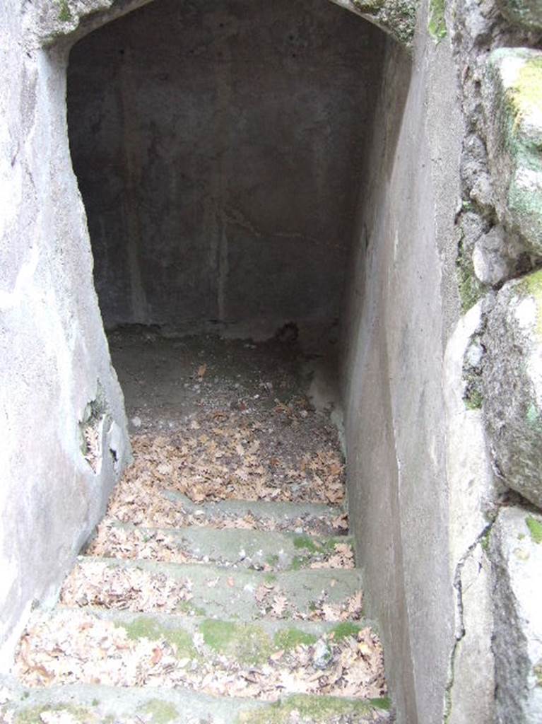 VIII.2.39 Pompeii. May 2006. Stairs to first lower floor.