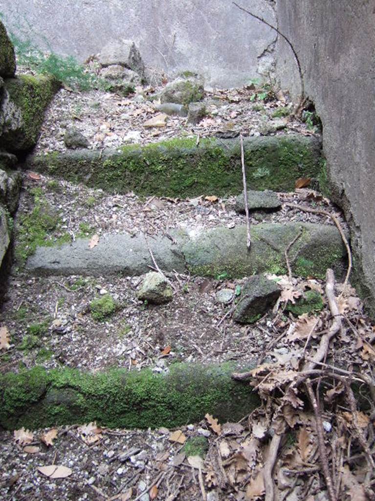 VIII.2.39 Pompeii. May 2006. Staircase e. Steps up from second lower floor to first lower floor