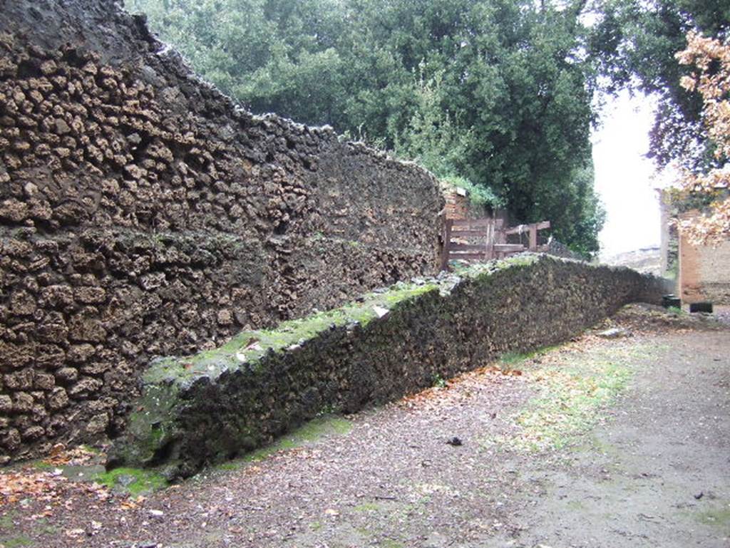 Side of VIII.2.39 from Triangular Forum