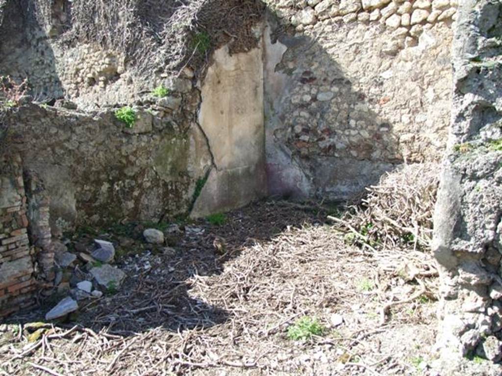 VIII.3.4 Pompeii. March 2009. Room 16. Oecus. South wall and south west corner.