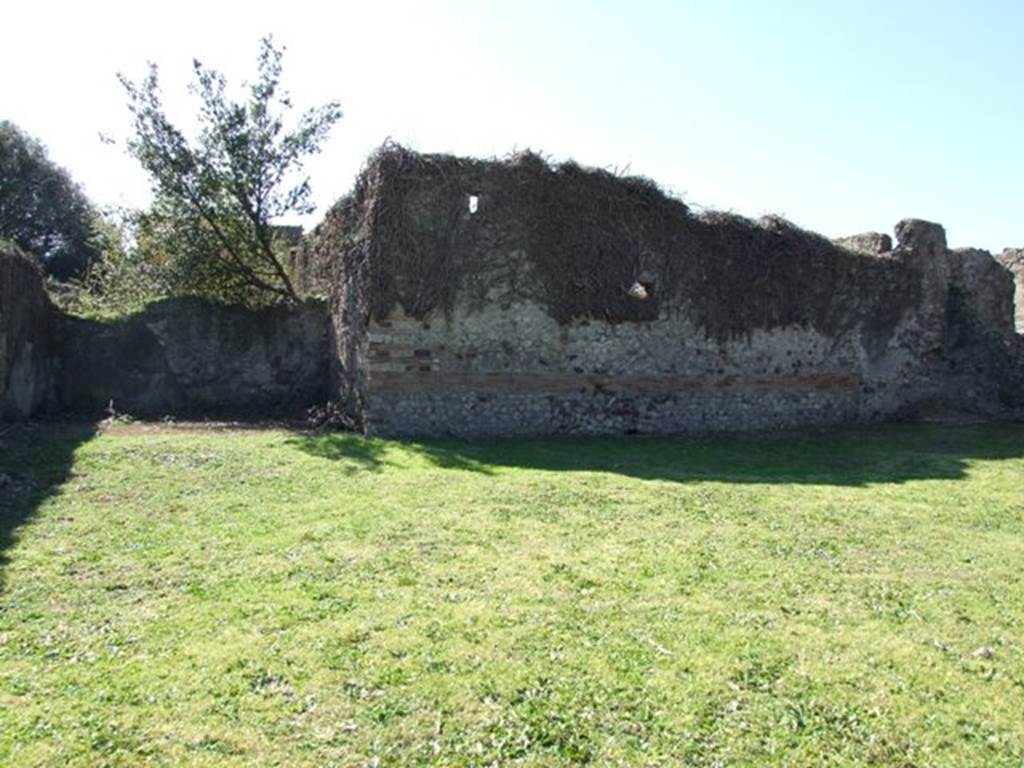 VIII.3.4 Pompeii. March 2009. Room 18. Rear garden area. Looking south.