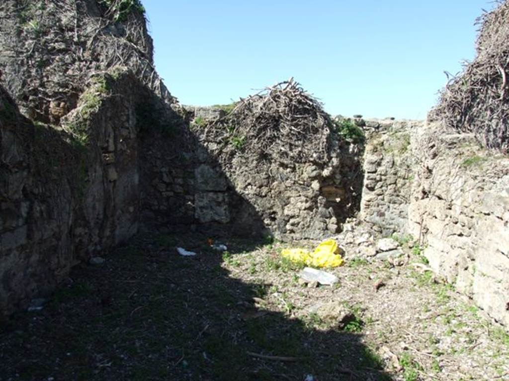 VIII.3.4 Pompeii. March 2009. Room 7, Oecus. West wall.