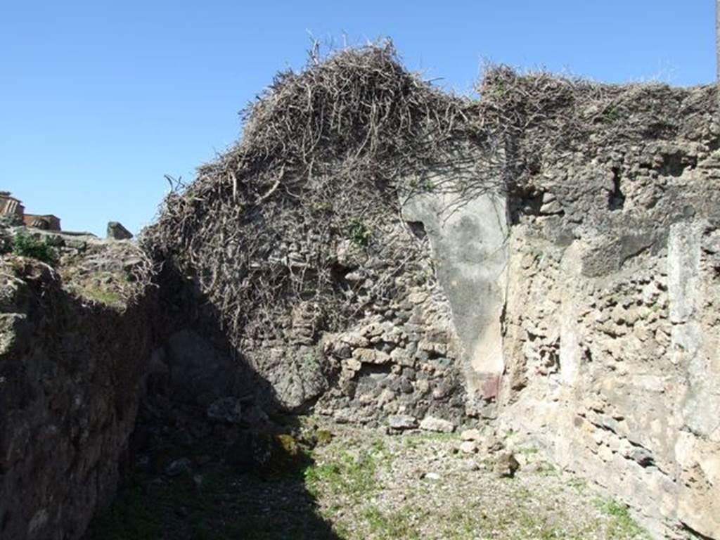 VIII.3.4 Pompeii. March 2009. Room 8, Cubiculum. West wall.