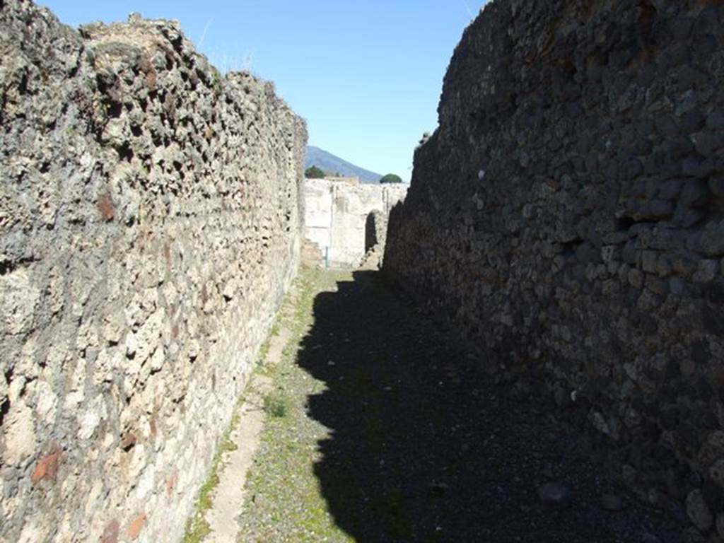 VIII.3.6 Pompeii. March 2009. Corridor looking north to entrance.