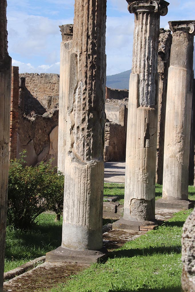 VIII.3.8 Pompeii. October 2024. Looking north along east portico. Photo courtesy of Klaus Heese.