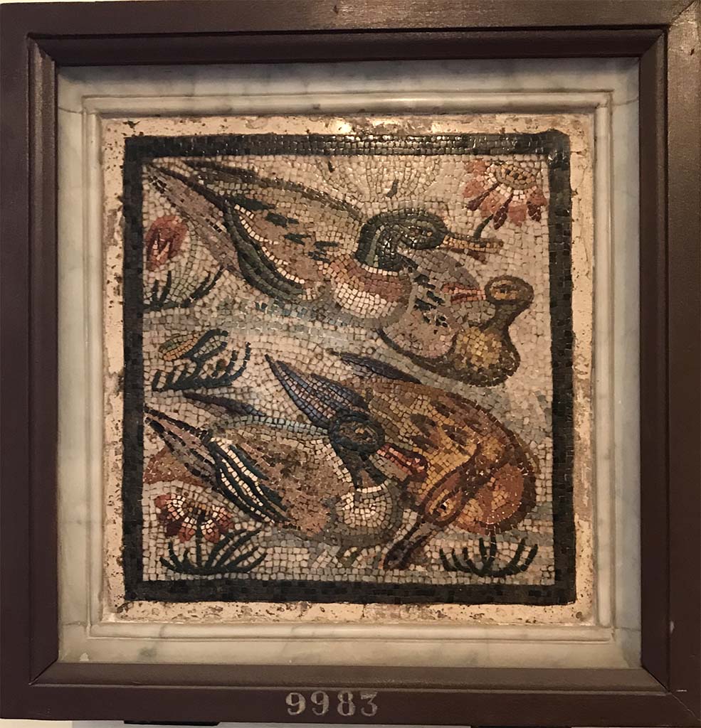 VIII.3.8 Pompeii. Mosaic of ducks and flowers found 24th April 1819. 
Now in Naples Archaeological Museum. Inventory number 9983.
This mosaic was found in one of the rooms that were being cleared in the presence of the Duke and Duchess of Calabria.
See Pagano, M. and Prisciandaro, R., 2006. Studio sulle provenienze degli oggetti rinvenuti negli scavi borbonici del regno di Napoli. Naples: Nicola Longobardi. (p.119)
See Fiorelli G., 1862. Pompeianarum antiquitatum historia, Vol. 2: 1819 - 1860, Naples, p. 5.
