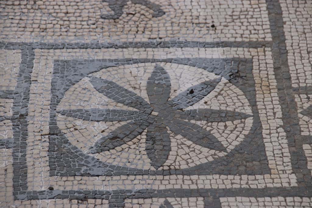 VIII.3.8 Pompeii. October 2020. Detail of mosaic in corridor/fauces. Photo courtesy of Klaus Heese.