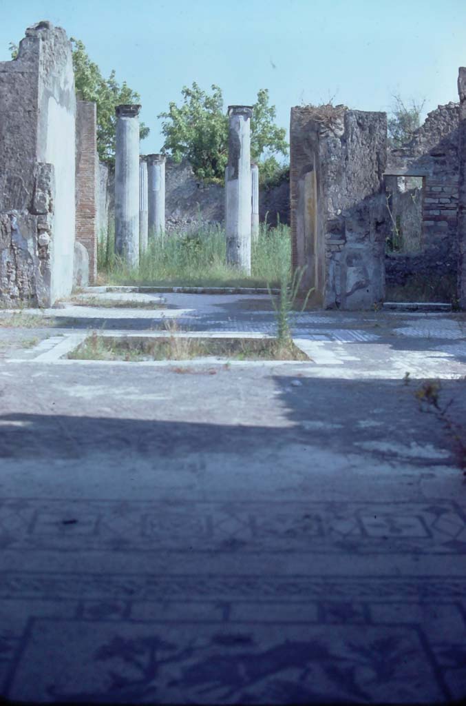 VIII.3.8 Pompeii, 7th August 1976. Looking south across the impluvium in the atrium towards the tablinum and peristyle.
Photo courtesy of Rick Bauer, from Dr George Fay’s slides collection.
