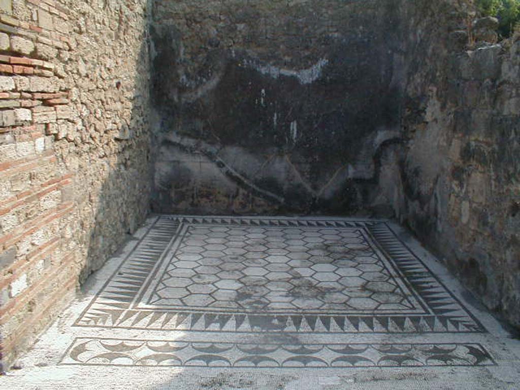 VIII.3.8 Pompeii. September 2004. Looking east towards ala on east side of atrium.
The floor was of black and white mosaic, carpet style with a net of octagons within a border of wolves teeth (denti di lupo).
The threshold at the west end towards the atrium shows a frieze of opposing shields (una fascia con peltae contrapposte).