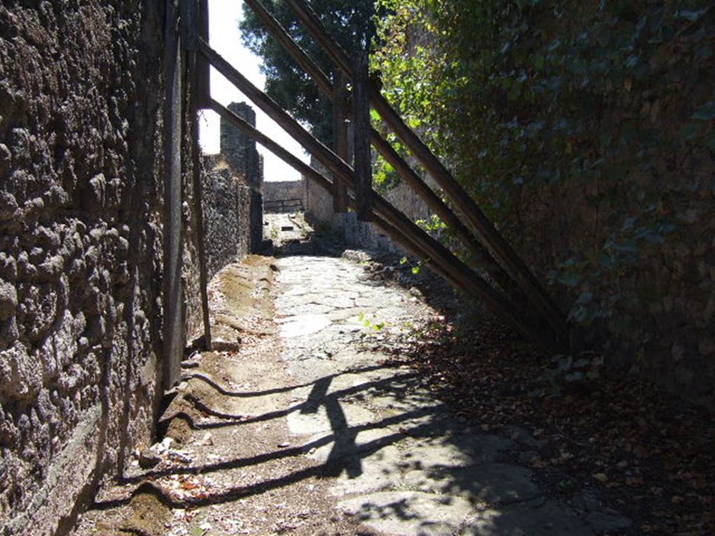VIII.5 Pompeii. Vicolo dei 12 Dei, looking south. VIII.3.13