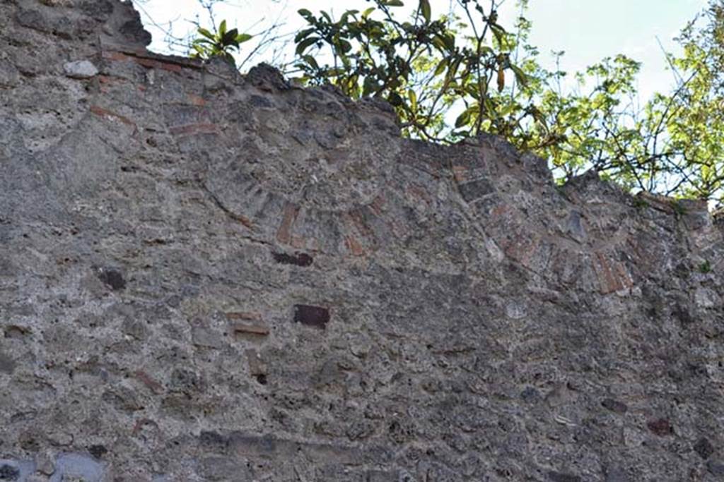 VIII.3.14 Pompeii. April 2018. Detail of west wall in Vicolo dei 12 Dei. Photo courtesy of Ian Lycett-King.
Use is subject to Creative Commons Attribution-NonCommercial License v.4 International.