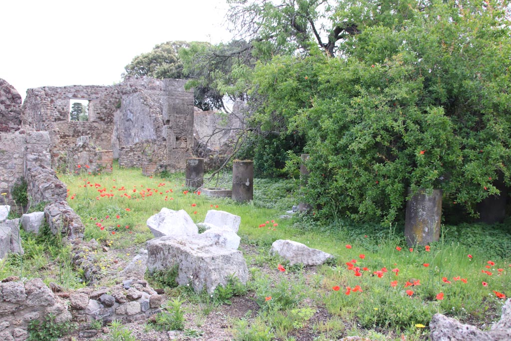 VIII.3.31 Pompeii. May 2024.
Looking south-east across the north portico of the peristyle, taken across the wall of VIII.3.29. Photo courtesy of Klaus Heese.