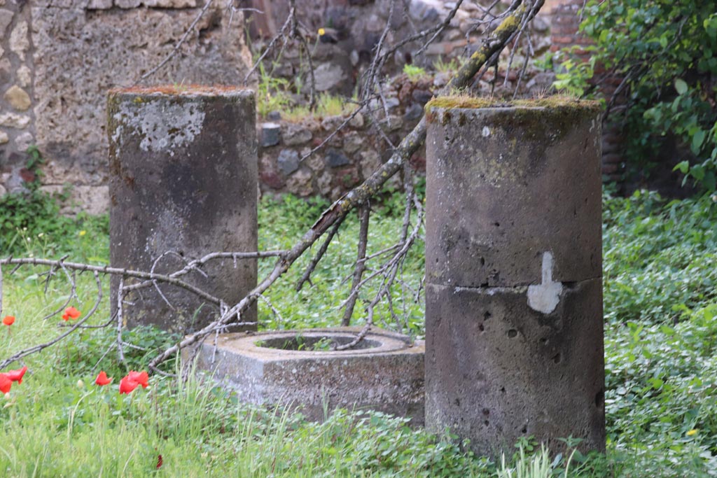 VIII.3.31 Pompeii. May 2024.
Looking south-east across north portico area from VIII.3.28, detail of columns and cistern-mouth. Photo courtesy of Klaus Heese.