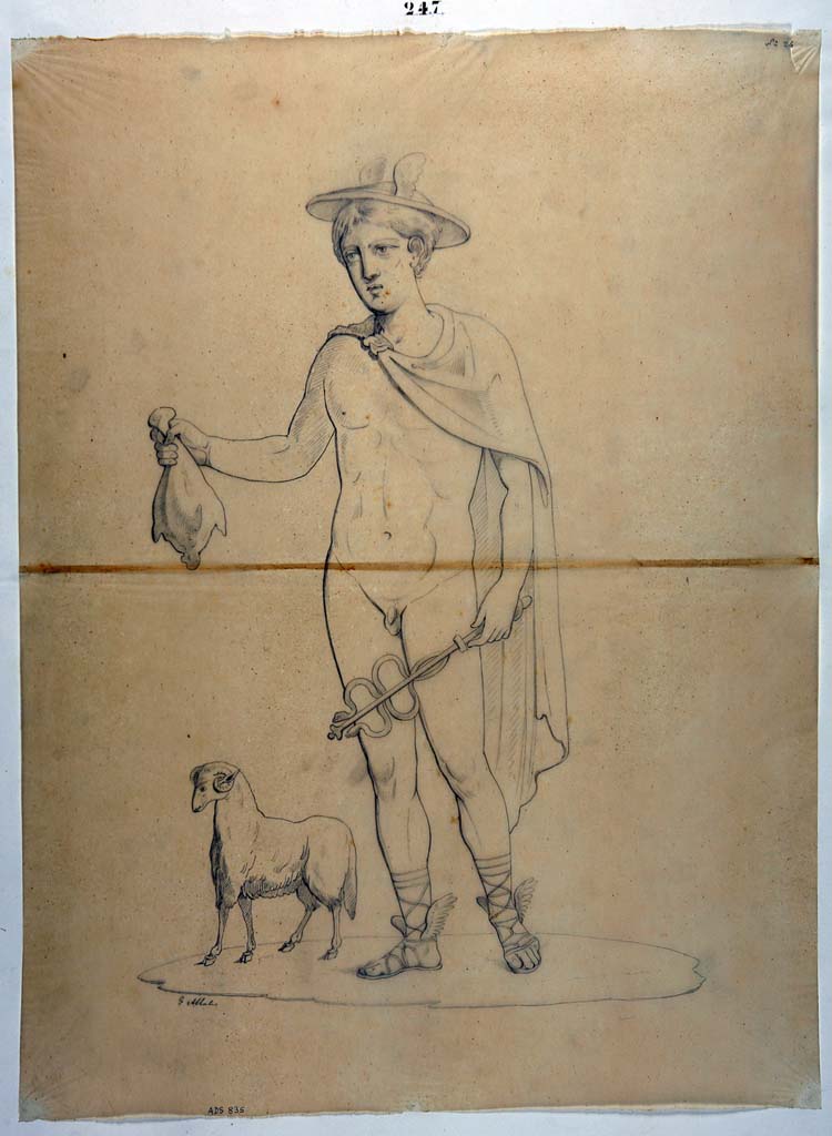 VIII.4.3 Pompeii. Drawing by Giuseppe Abbate, of painting of Mercury from one of the two doorposts of the shop.
Now in Naples Archaeological Museum. Inventory number ADS 835.
Photo © ICCD. http://www.catalogo.beniculturali.it
Utilizzabili alle condizioni della licenza Attribuzione - Non commerciale - Condividi allo stesso modo 2.5 Italia (CC BY-NC-SA 2.5 IT)
