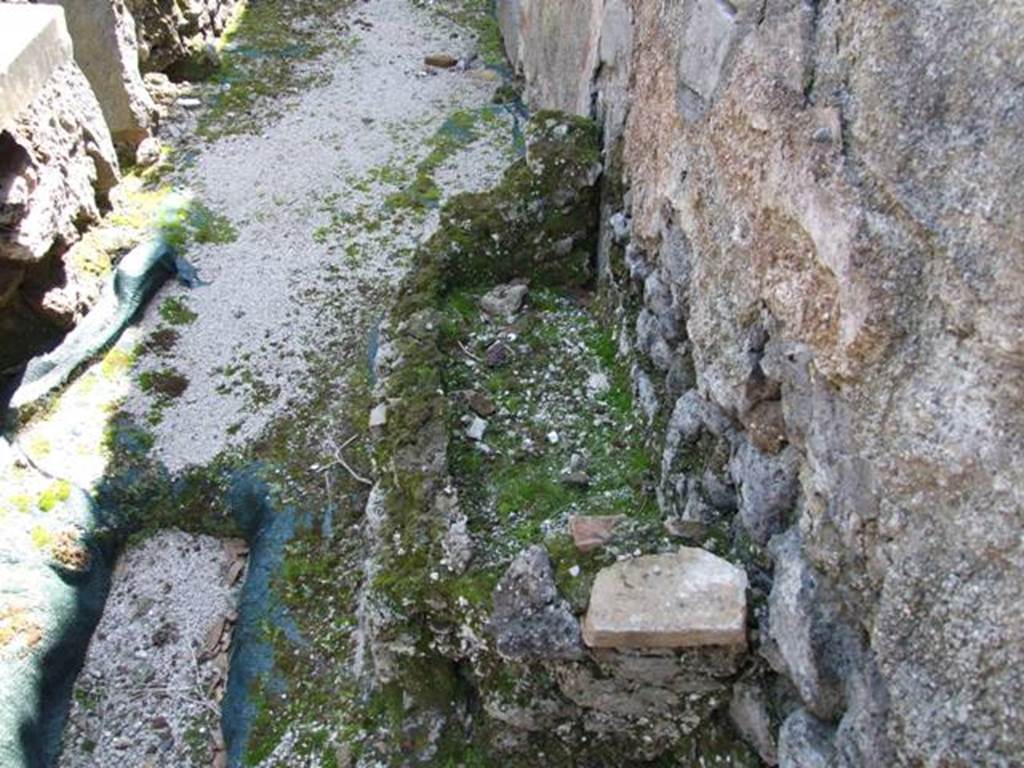 VIII.4.4 Pompeii. March 2009. Room 7. Kitchen. Looking south. West wall, with remains of masonry structure.