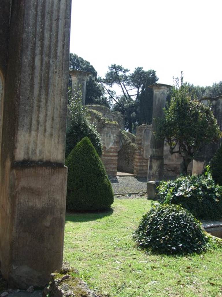 VIII.4.4 Pompeii. March 2009. Looking south across garden.