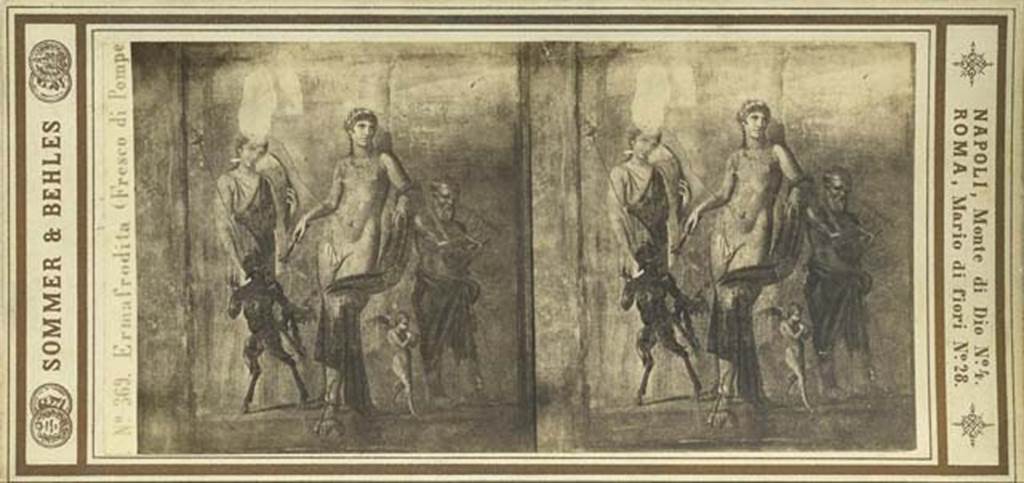 VIII.4.4 Pompeii. Room 11, painting from east wall of the exedra at rear of peristyle. Hermaphrodite has his left arm on the shoulder of Silenus who is playing the lyre with a plectrum. Stereoview by Sommer & Behles, between 1867 and 1874. Photo courtesy of Rick Bauer.