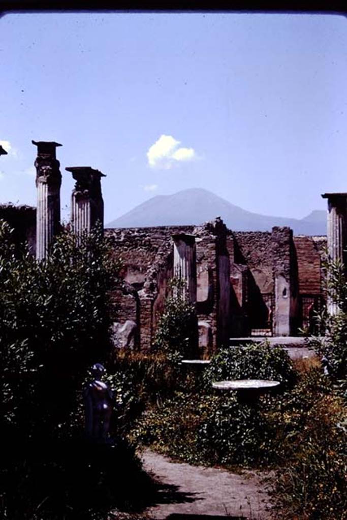 VIII.4.4 Pompeii. 1966. Looking north across garden from south portico. Photo by Stanley A. Jashemski.
Source: The Wilhelmina and Stanley A. Jashemski archive in the University of Maryland Library, Special Collections (See collection page) and made available under the Creative Commons Attribution-Non Commercial License v.4. See Licence and use details.
J66f0577