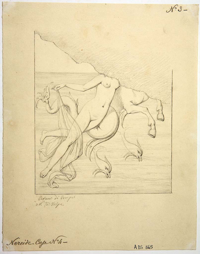 VIII.4.4 Pompeii. Drawing by Nicola La Volpe, of painting from the east wall of room 12.
The design showed a Nereid, headless, shirtless, with a veil on her legs raised with the right hand, and leaning on a sea horse or sea bull, also headless, with front hooves and the coiled tail of a fish, that is moving to the right; two dolphins swim below.
Nothing remains of the painting today.
Now in Naples Archaeological Museum. Inventory number ADS 845.
Photo © ICCD. http://www.catalogo.beniculturali.it
Utilizzabili alle condizioni della licenza Attribuzione - Non commerciale - Condividi allo stesso modo 2.5 Italia (CC BY-NC-SA 2.5 IT)