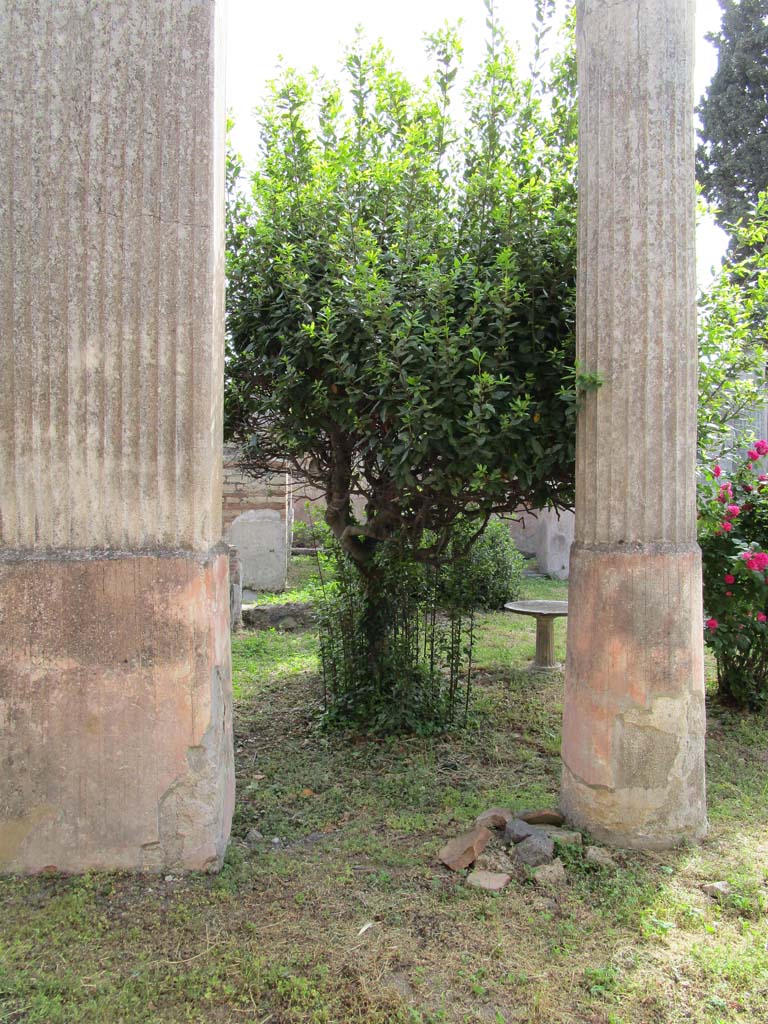 VIII.4.4 Pompeii. April 2019. Base of double pillar in peristyle, on left, looking east across peristyle from VIII.4.49.
Photo courtesy of Rick Bauer.