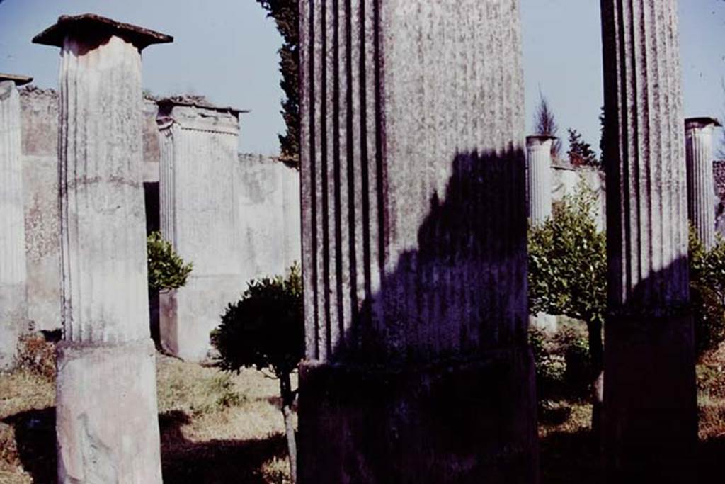 VIII.4.4 Pompeii, 1978. Looking south-east across peristyle. Photo by Stanley A. Jashemski.
Source: The Wilhelmina and Stanley A. Jashemski archive in the University of Maryland Library, Special Collections (See collection page) and made available under the Creative Commons Attribution-Non Commercial License v.4. See Licence and use details. J78f0234
