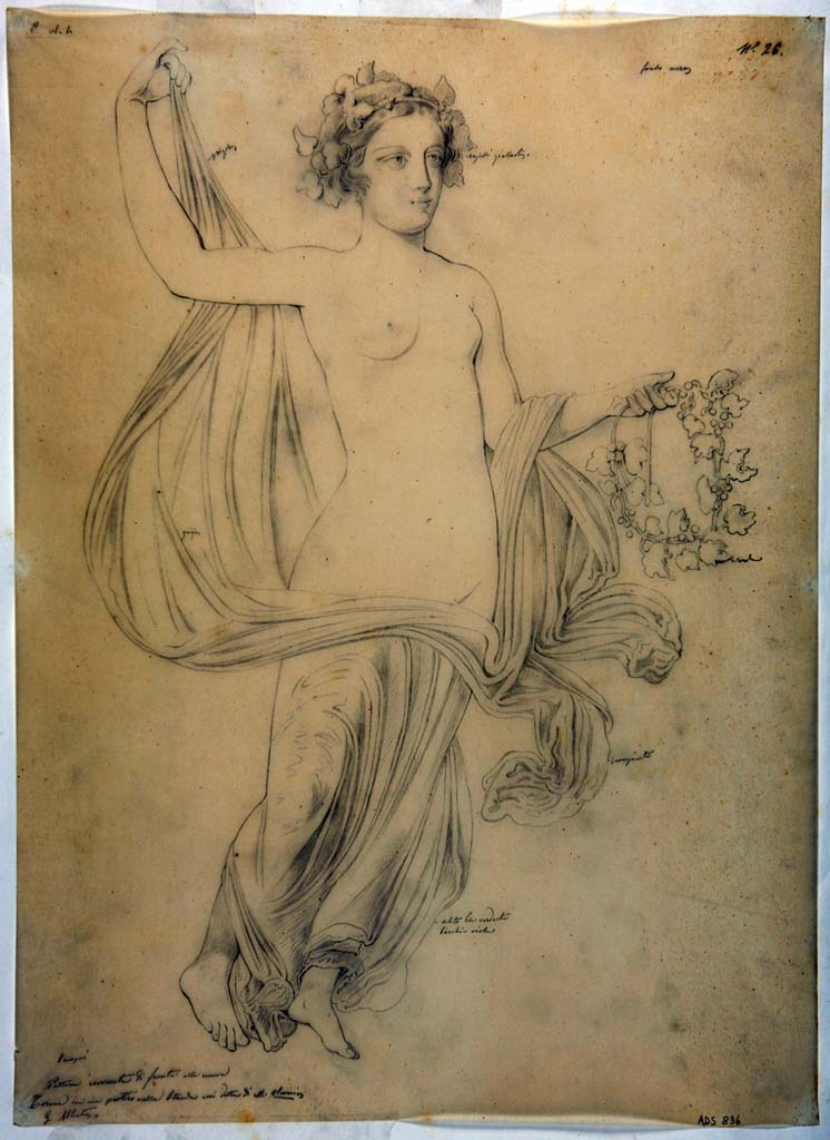 VIII.4.4 Pompeii. Entrance corridor or fauces. Pre-1849 drawing by G. Abbate of floating figure carrying a wreath of ivy.
Now in Naples Archaeological Museum. Inventory number ADS836.
According to the ICCD scheda, "Il disegno raffigura la vignetta che decorava una parete del vestibolo 1 della Casa di Holconius Rufus a Pompei (VIII 4, 4), staccata e conservata al Museo Archeologico Nazionale di Napoli (inv. 9149)".
Photo © ICCD. http://www.catalogo.beniculturali.it
Utilizzabili alle condizioni della licenza Attribuzione - Non commerciale - Condividi allo stesso modo 2.5 Italia (CC BY-NC-SA 2.5 IT)