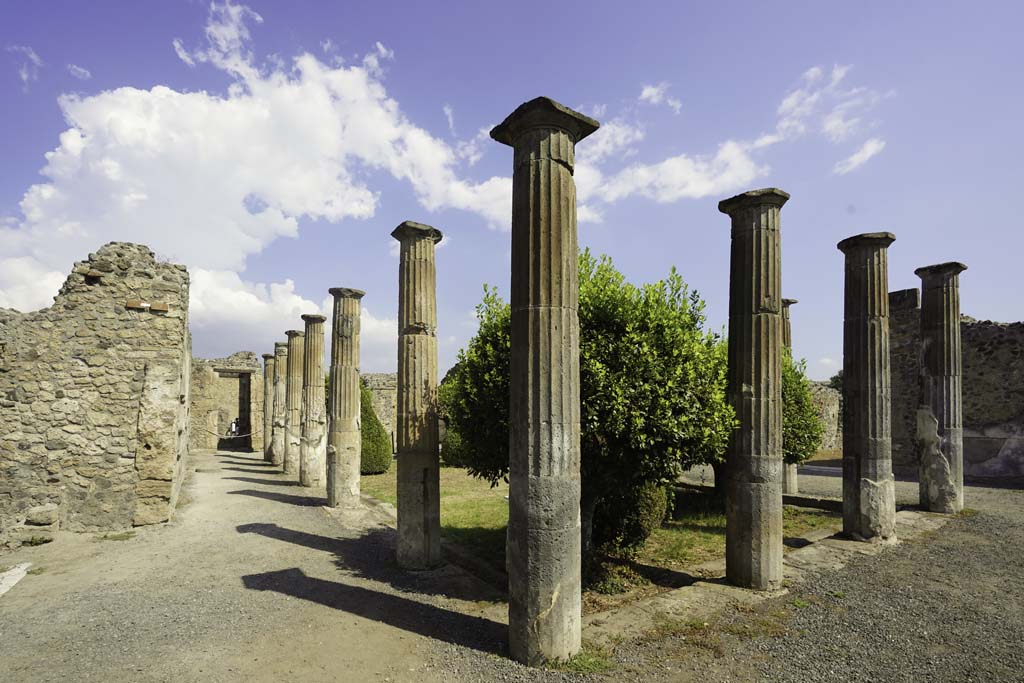 VIII.4.15 Pompeii. August 2021.
Looking north along west portico, and north-east across peristyle garden. Photo courtesy of Robert Hanson.