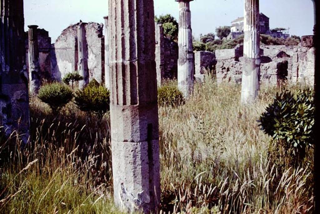 VIII.4.15 Pompeii, 1978. Looking north-east across peristyle garden. Photo by Stanley A. Jashemski.
Source: The Wilhelmina and Stanley A. Jashemski archive in the University of Maryland Library, Special Collections (See collection page) and made available under the Creative Commons Attribution-Non Commercial License v.4. See Licence and use details.
J78f0235
According to Wilhelmina, the vertical cuts in the columns show where a wooden fence had been inserted.
See Jashemski, W. F., 1993. The Gardens of Pompeii, Volume II: Appendices. New York: Caratzas, p. 213.