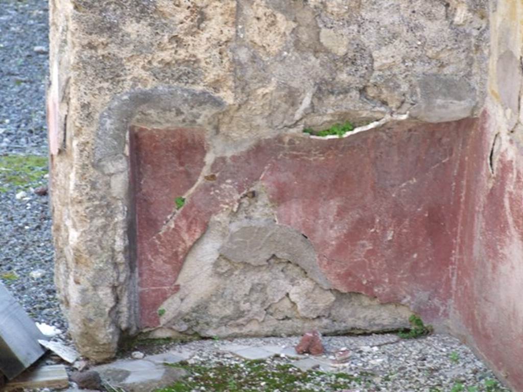 VIII.4.15 Pompeii. March 2009. Room 18. Cubiculum. Remains of painted plant decoration in south west corner.