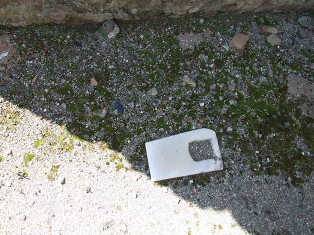 VIII.4.15 Pompeii. March 2009. White marble door fitting, in floor of entrance fauces.