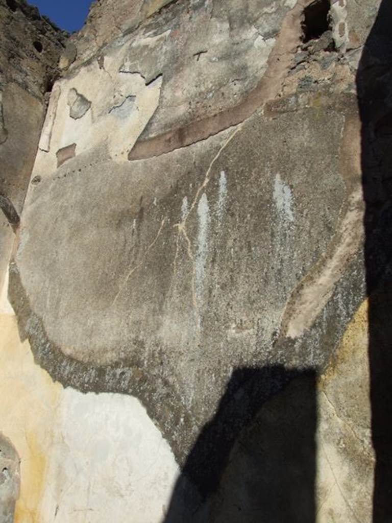 VIII.5.2 Pompeii. March 2009. Room 4. Cubiculum. North wall.