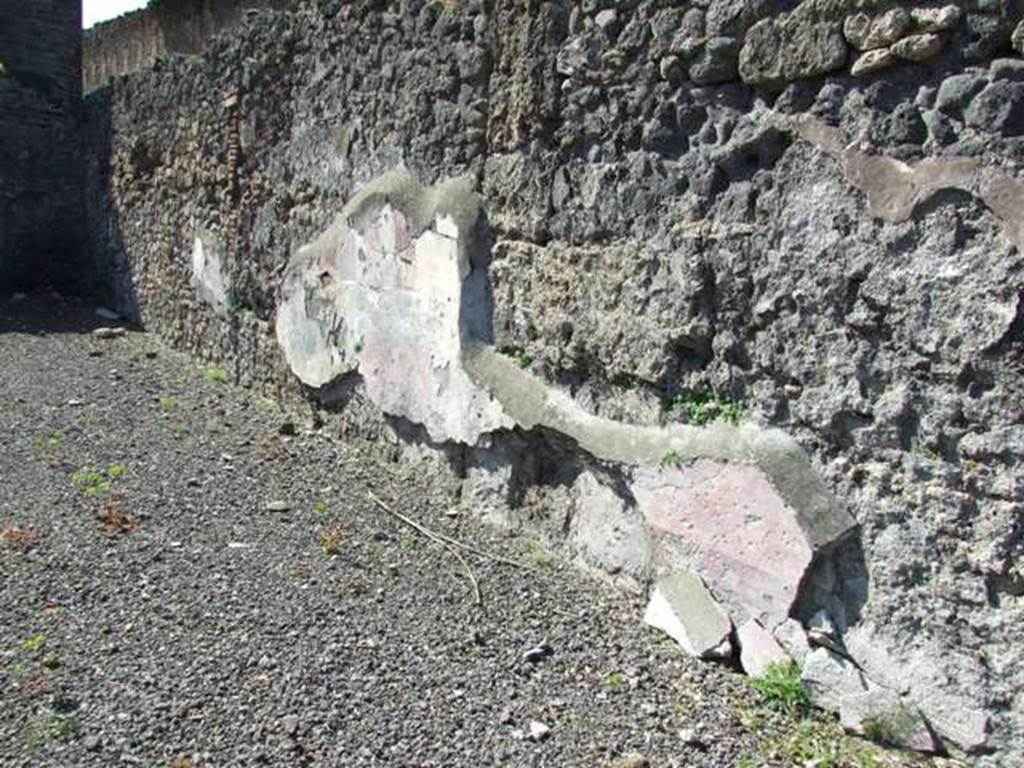 VIII.5.2 Pompeii. March 2009. Room 8, west wall of west portico of peristyle garden.