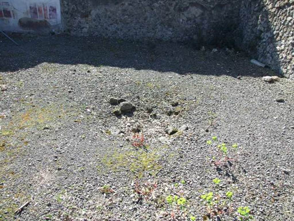 VIII.5.2 Pompeii. March 2009. Room 8, floor in south-west corner of peristyle garden.