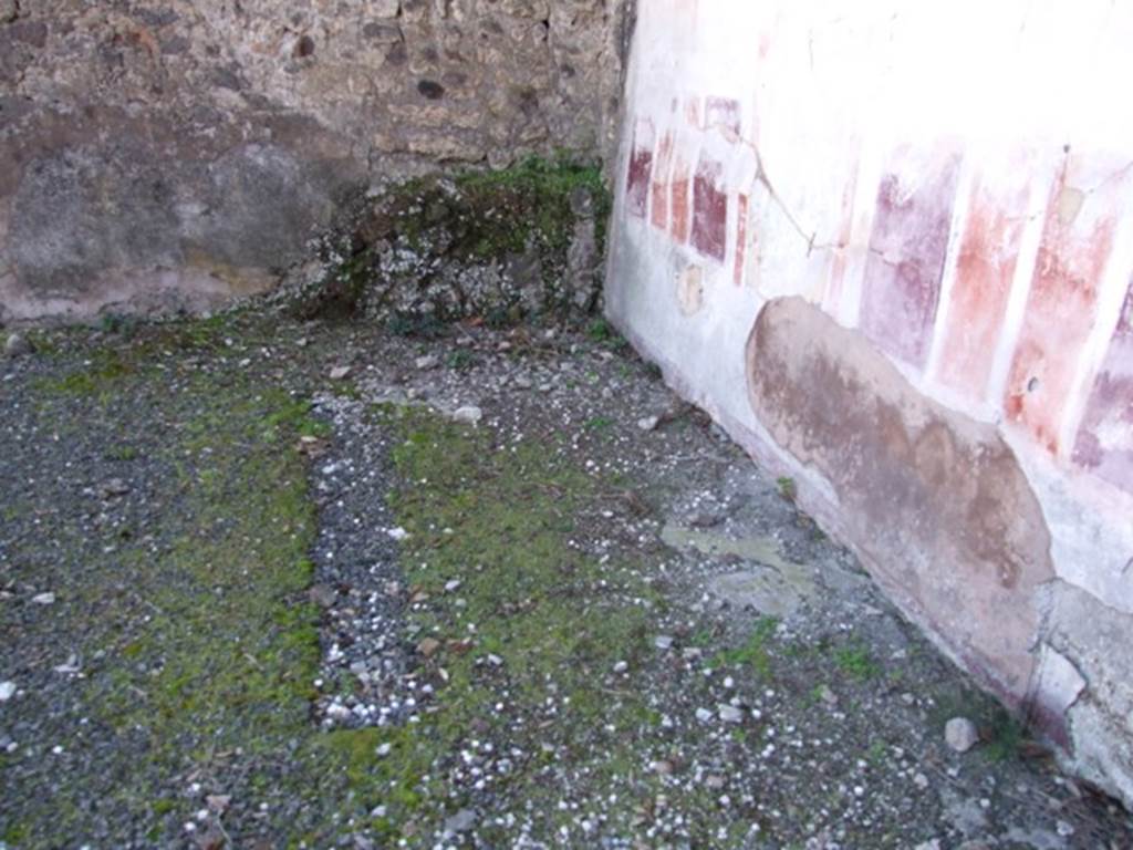VIII.5.2 Pompeii. March 2009. Room 8, south-east corner of oecus.
Floor near painted decoration in Oecus at rear of peristyle