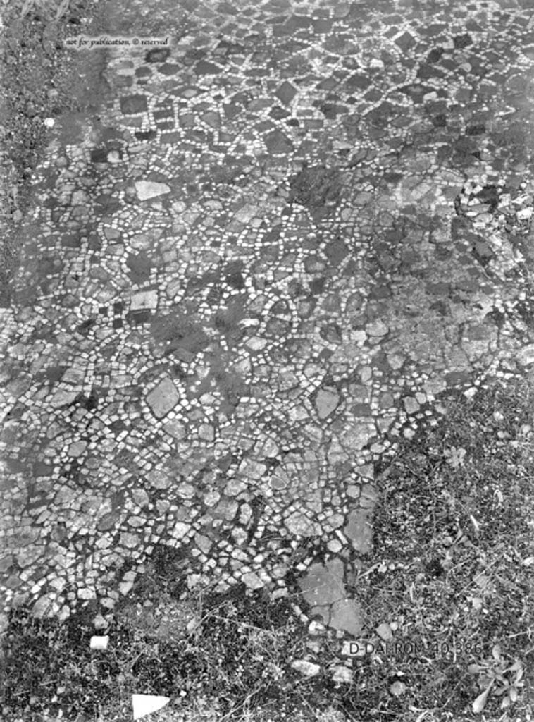 VIII.5.2 Pompeii. c.1930. Room 8, flooring in oecus against the south wall of the perystile.
DAIR 40.386. Photo © Deutsches Archäologisches Institut, Abteilung Rom, Arkiv.
See Pernice, E. 1938. Pavimente und Figürliche Mosaiken: Die Hellenistische Kunst in Pompeji, Band VI. Berlin: de Gruyter,
(described as oecus “q”, and see tav. 14.1-2, above.)