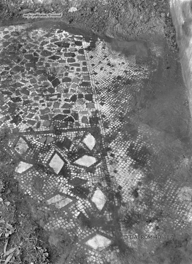 VIII.5.2 Pompeii. c.1930. Room 8, flooring in oecus against the south wall of the perystile.
DAIR 40.387. Photo © Deutsches Archäologisches Institut, Abteilung Rom, Arkiv.
See Pernice, E. 1938. Pavimente und Figürliche Mosaiken: Die Hellenistische Kunst in Pompeji, Band VI. Berlin: de Gruyter, (described as oecus “q”, and see taf. 14.1-2)