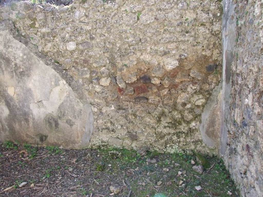 VIII.5.2 Pompeii. March 2009. Room 12. South wall.