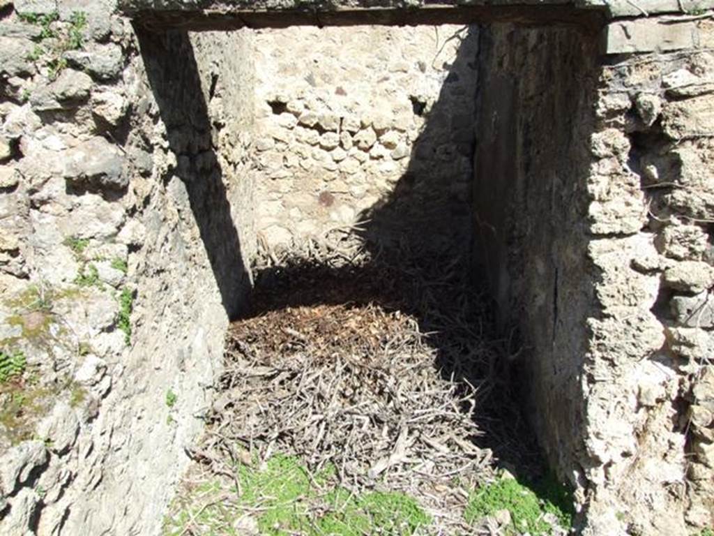VIII.5.2 Pompeii. March 2009. Room 15. Small room or cupboard. Looking north.