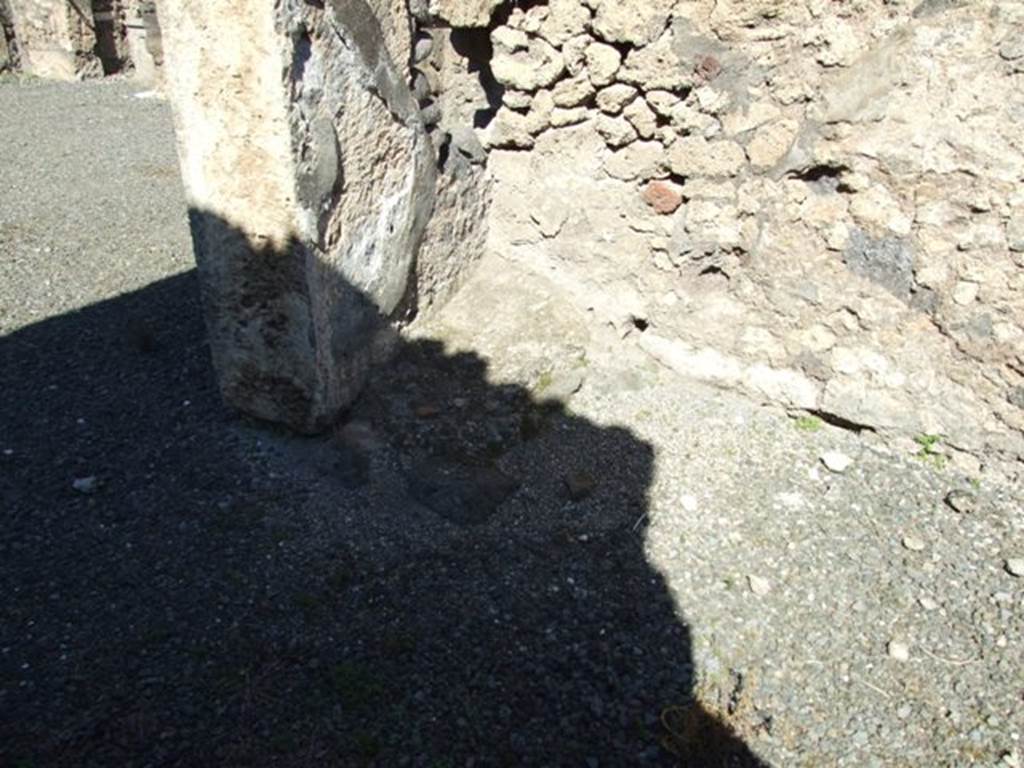 VIII.5.2 Pompeii. March 2009. Room 24. North wall, with small podium in north west corner.
