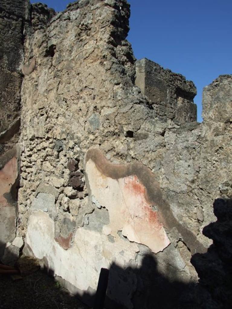 VIII.5.5 Pompeii. March 2009. Room 26. Oecus. North wall.