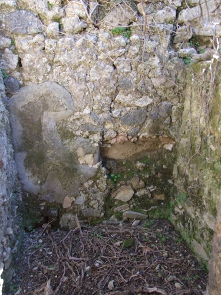 VIII.5.5 Pompeii. March 2009. Room 29. Latrine.