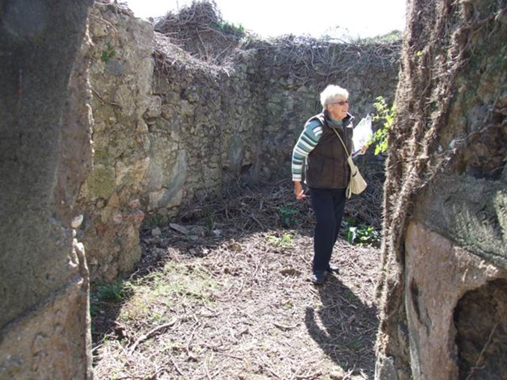 VIII.5.5 Pompeii. March 2009. Room 30. Kitchen, looking south.