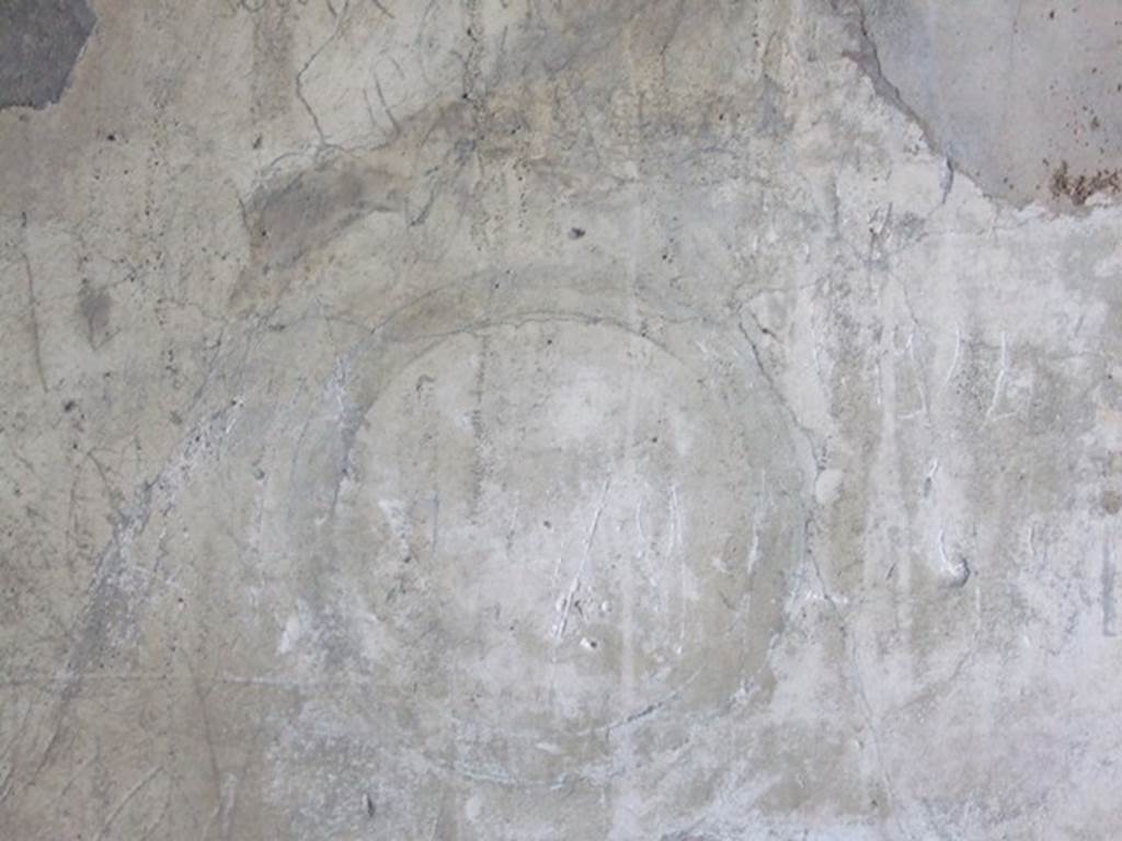 VIII.5.5 Pompeii. March 2009. Room 31, faded medallion from the central panel of the west wall.