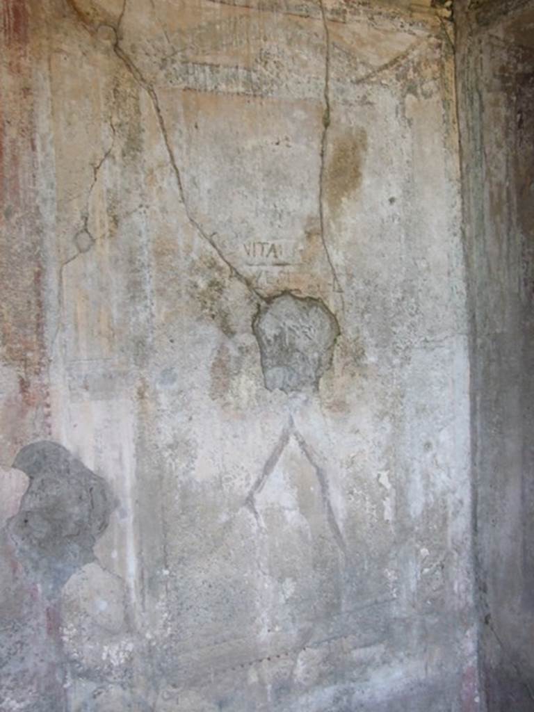 VIII.5.5 Pompeii. March 2009. Room 31, south wall of cubiculum with remains of one of the painted aedicula, edged by a border.
