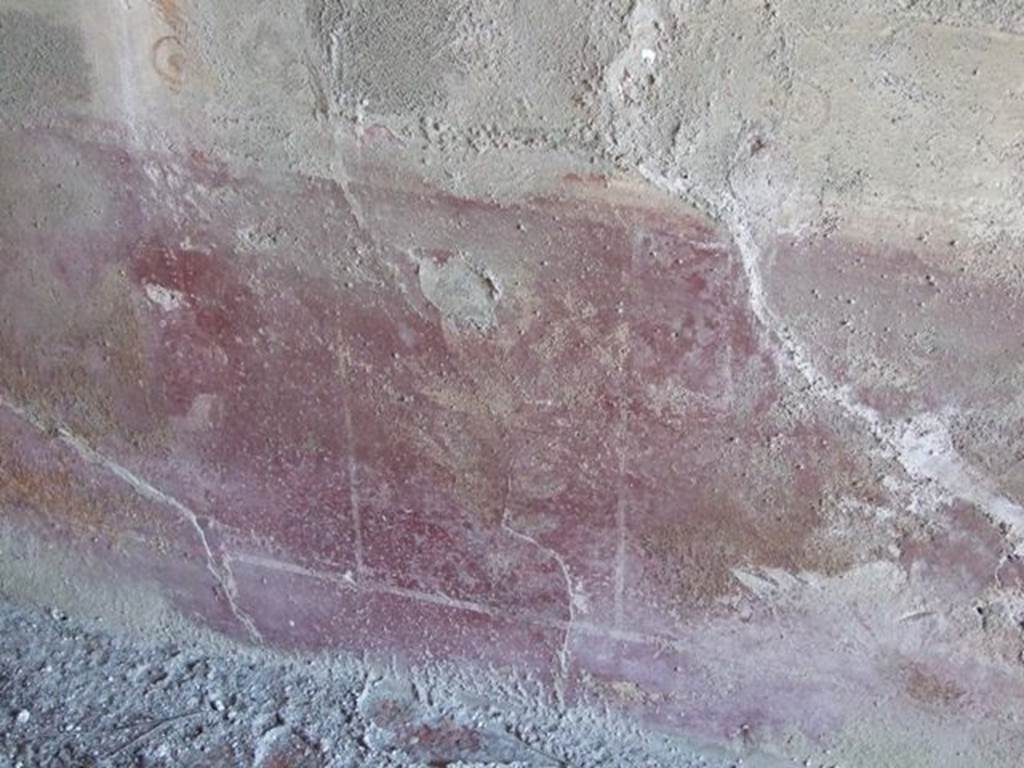 VIII.5.5 Pompeii. March 2009. Room 31, cubiculum, red zoccolo with remains of painted plants in panels.