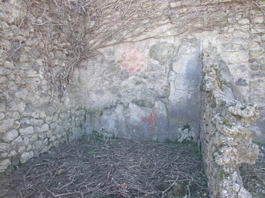 VIII.5.5 Pompeii. March 2009. Room 33. Biclinium. South wall.