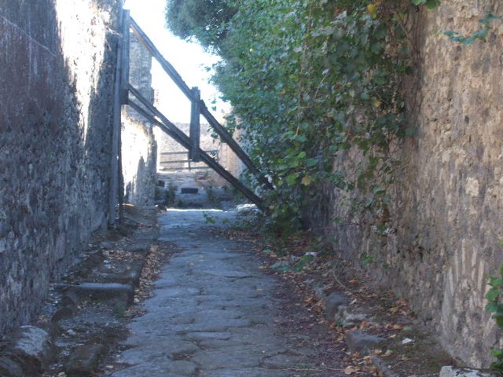 VIII.5.2 (side wall). Pompeii. Vicolo dei 12 Dei, looking south. VIII.3