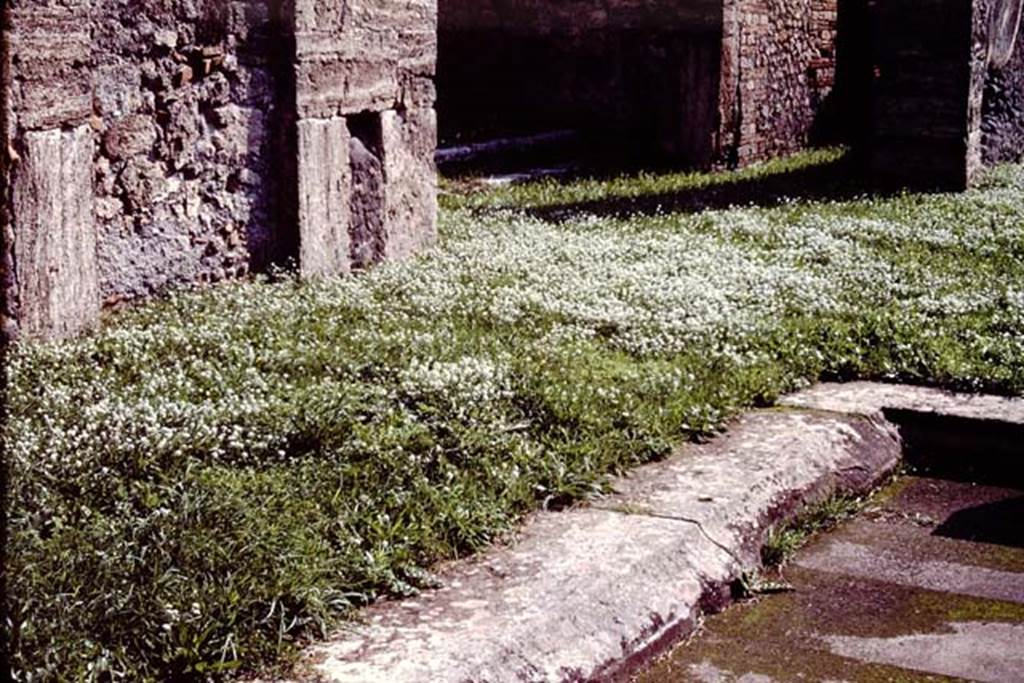 VIII.5.2 Pompeii. c.1984. Room 1, atrium. Looking south-east across impluvium.
Source: The Wilhelmina and Stanley A. Jashemski archive in the University of Maryland Library, Special Collections (See collection page) and made available under the Creative Commons Attribution-Non Commercial License v.4. See Licence and use details.
J84f0021
